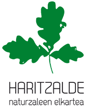 Haritzalde-logoemail3
