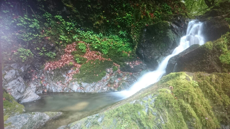 El río Urumea, del salto a la poza.