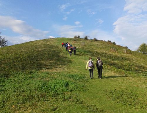 Excursión montañera a la Reserva Forestal del Añarbe: Vuelta a Urdaburu