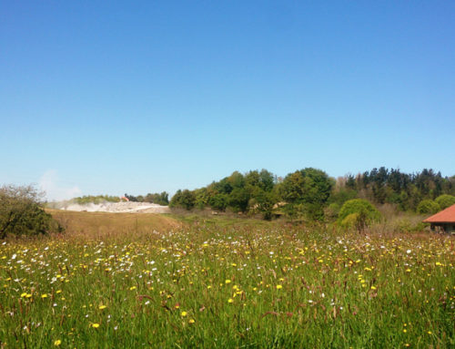 Naturzaleon III. argazki lehiaketa: Saridunak